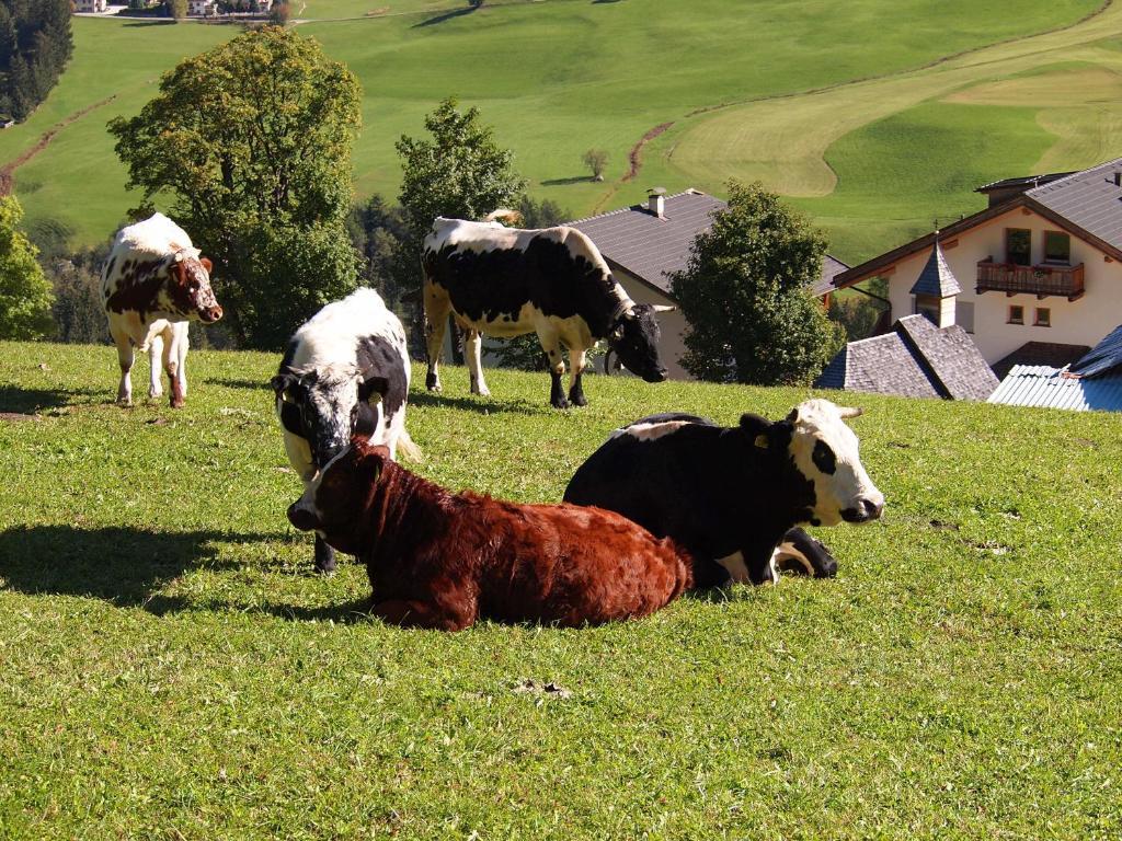 Agriturismo Paracia Villa Badia  Eksteriør bilde